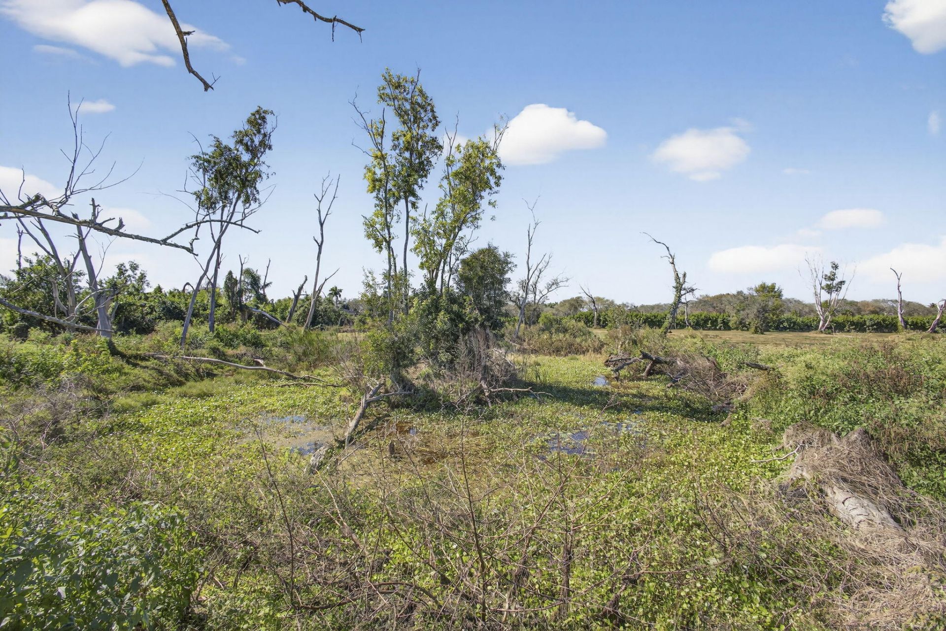 16296 Deer Path Lane, Lot #(5 Acres V, Wellington, FL 33470 Photo