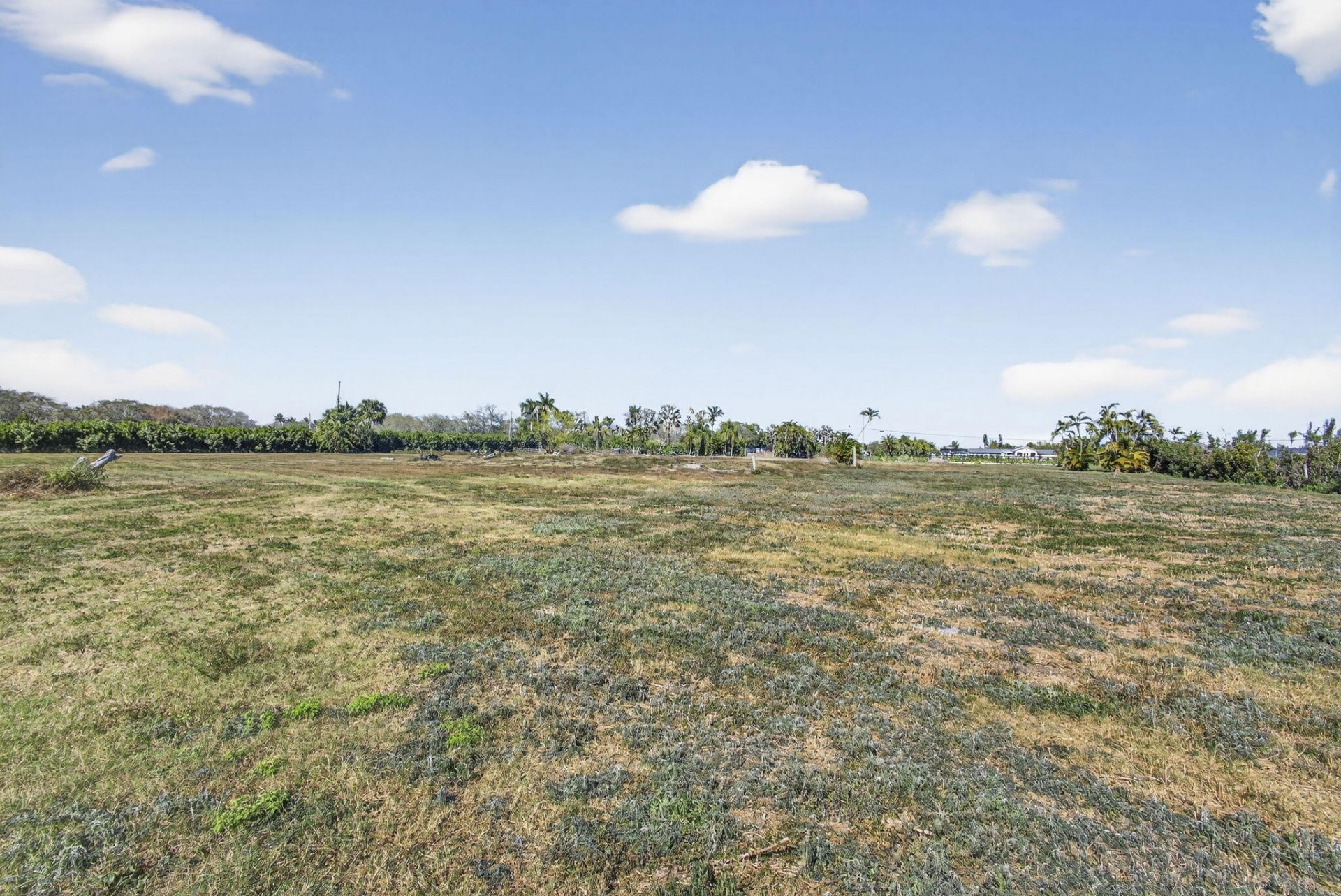 16296 Deer Path Lane, Lot #(5 Acres V, Wellington, FL 33470 Photo