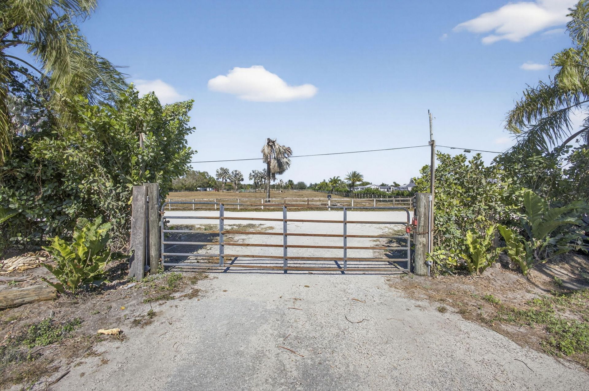 16296 Deer Path Lane, Wellington, FL 33470 Photo