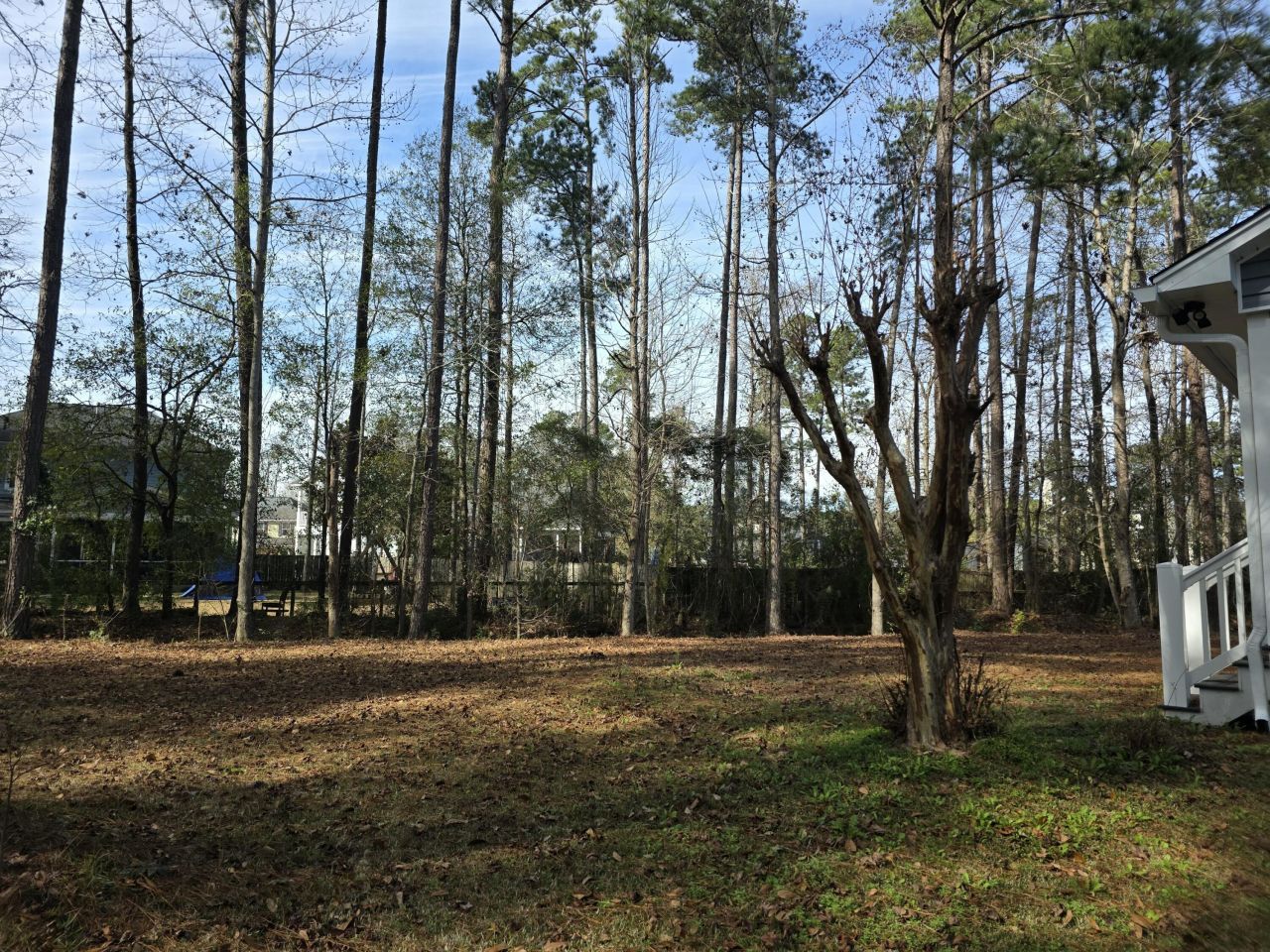 185 Bamert Street Photo 6