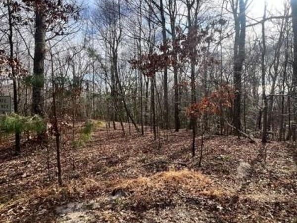 KINGS COURT, MONTROSS, VA 22520