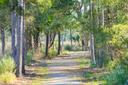 1572 John Fenwick Lane photo 4