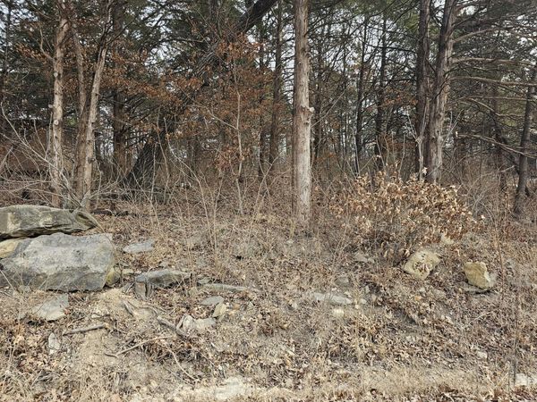 24643 Oak Drive, Pittsburg, MO 65724