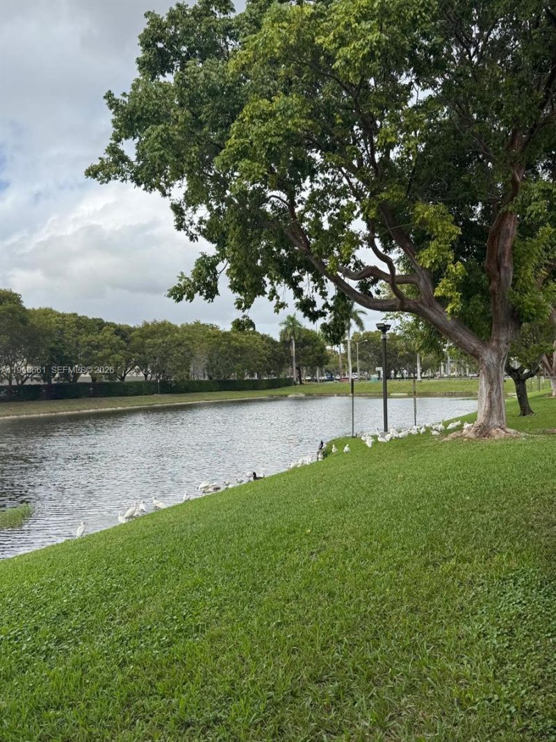 200 SW 117th Ter, Unit 10206, Pembroke Pines, FL 33025 Photo