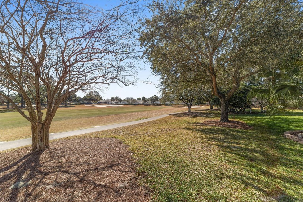 16642 SE 80th Bellavista Circle, The Villages, FL 32162 Photo