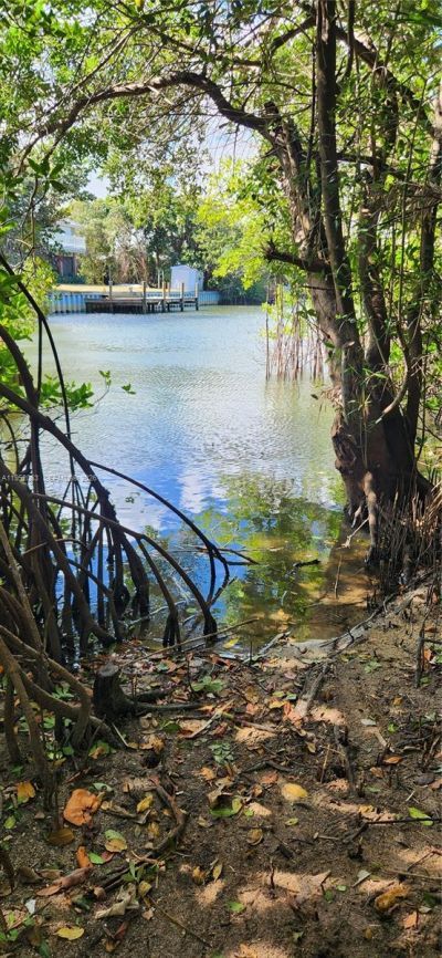 3601 N Highway A1a, Fort Pierce, FL 34949 Photo