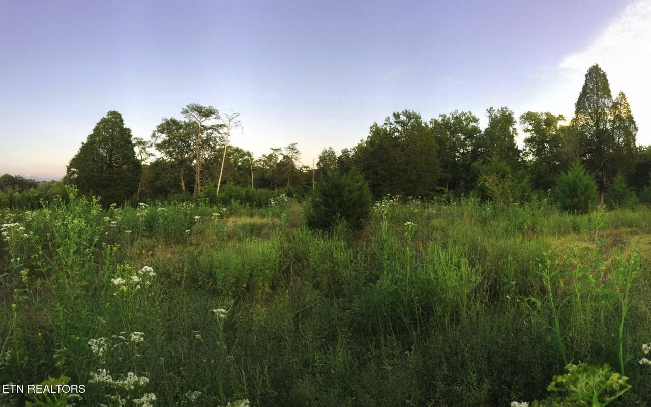 0 Thorngrove Pike, Strawberry Plains, TN 37871 Main Photo