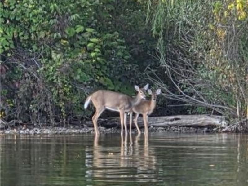 1837 Harbour Circle NW, Unit 18C, Canton, OH 44708 Photo 27