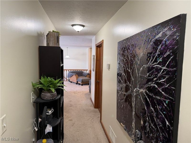 3183 Canary Road SE, Dennison, OH 44621 Photo 19