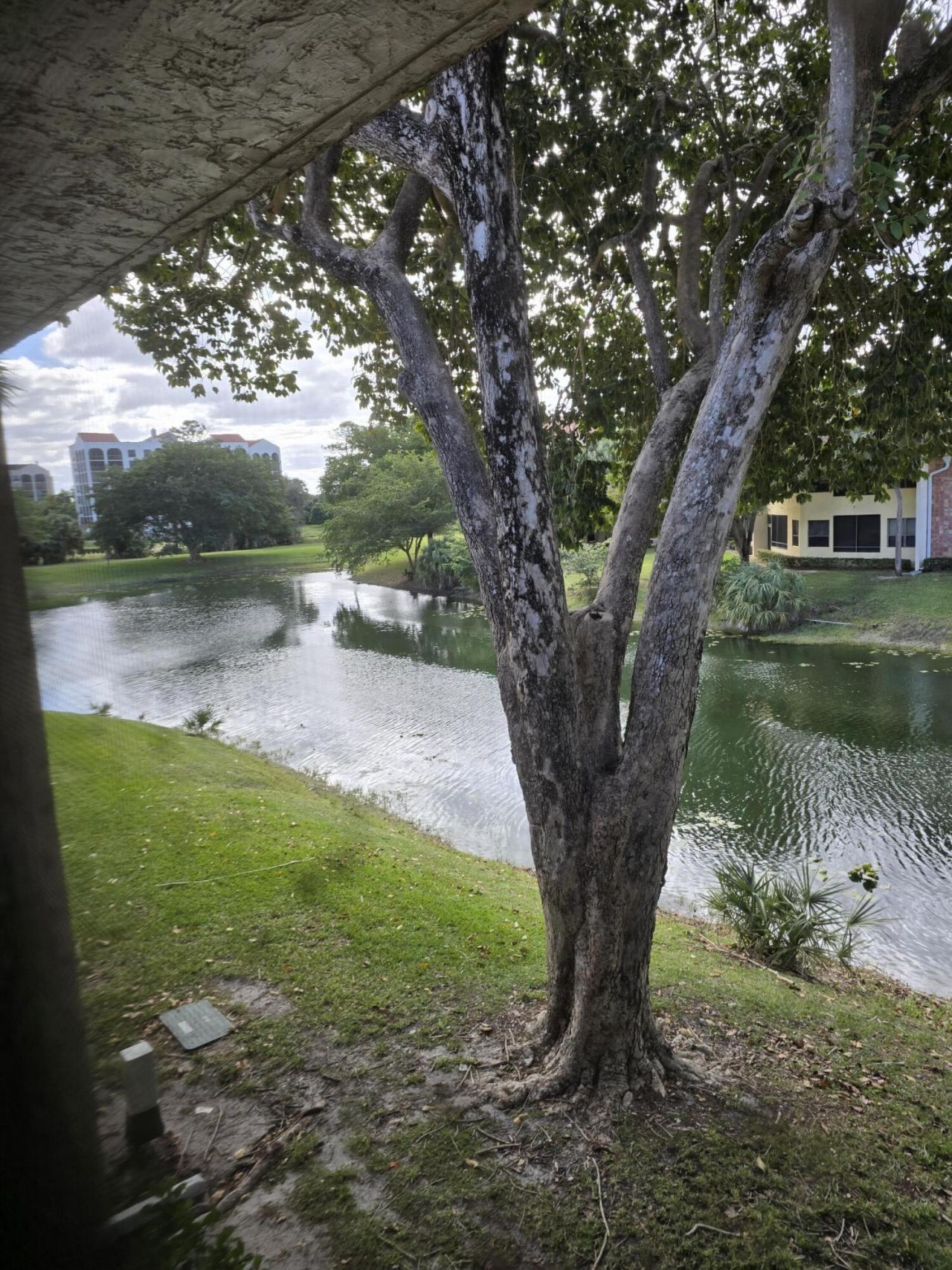 7484 La Paz Boulevard, Unit 203, Boca Raton, FL 33433 Photo