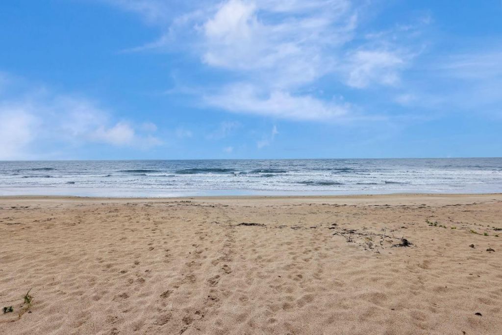 2800 N Highway A1a, Unit 305, Hutchinson Island, FL 34949 Photo