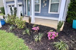 214 Warbler Way photo 4