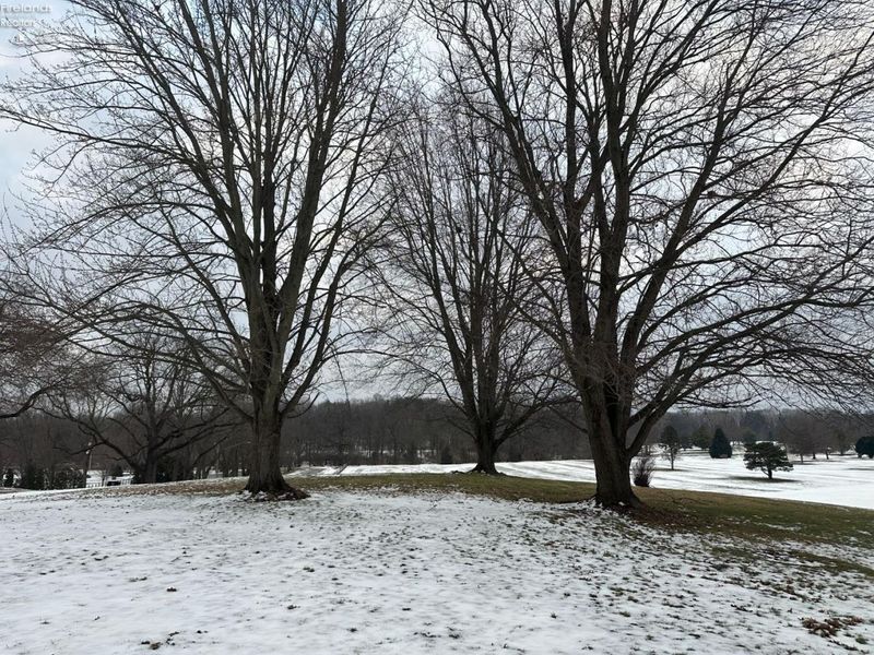 479 Front Street, Upper Sandusky, OH 43351 Photo 4