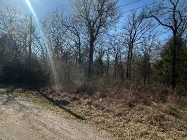 6145 Indian Harbor Drive, Mabank, TX 75156
