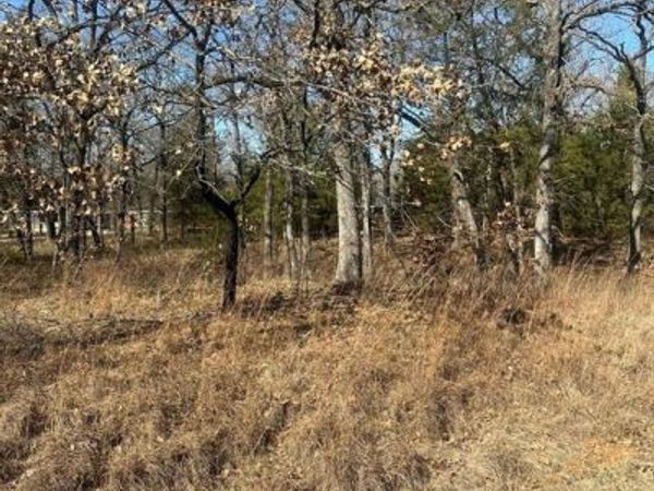 176 Oak Trail, Mabank, TX 75156