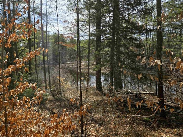 179 Chickville Road, Ossipee, NH 03864
