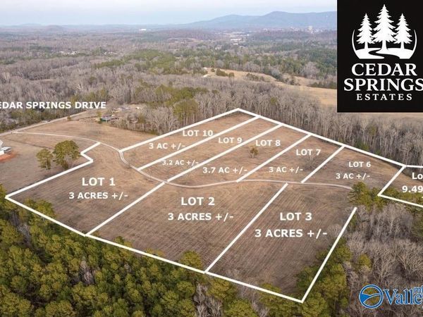 Lot 5 Cedar Springs Drive, Jacksonville, AL 36265