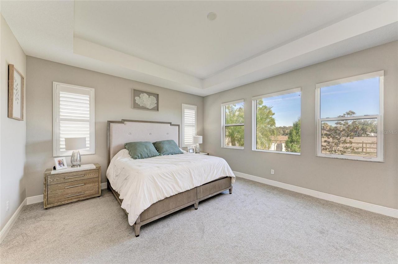 923 Whimbrel Run, Bradenton, FL 34212 Photo