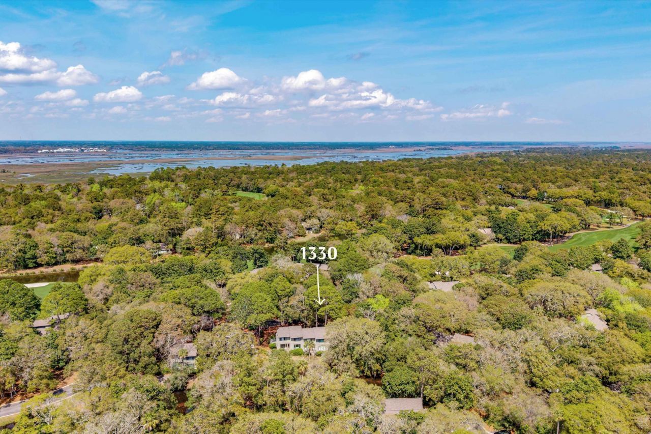 1330 Sea Elder Drive Photo 38