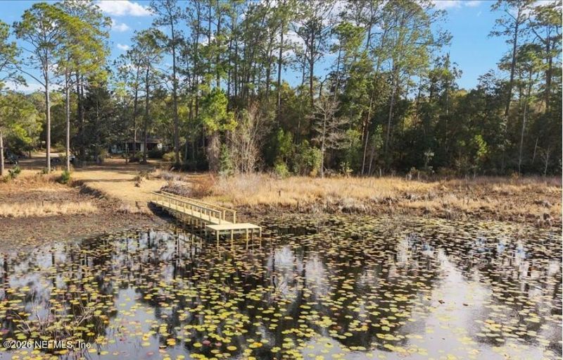 242 Taylor Fury Road, Pomona Park, FL 32181 Photo