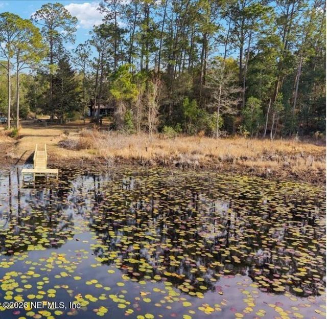 242 Taylor Fury Road, Pomona Park, FL 32181 Photo