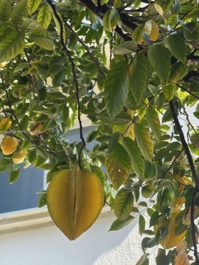 5502 SW 162nd Pl, Miami, FL 33185 Photo