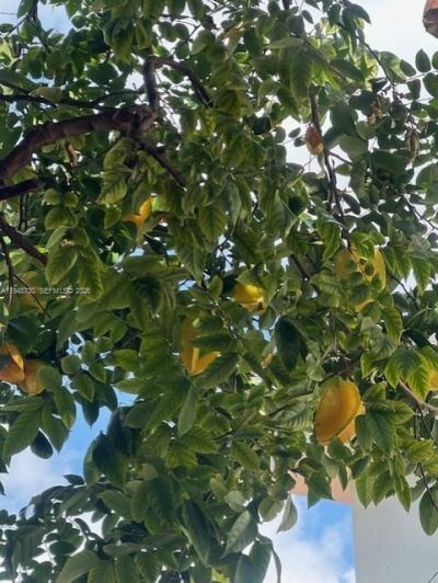 5502 SW 162nd Pl, Miami, FL 33185 Photo