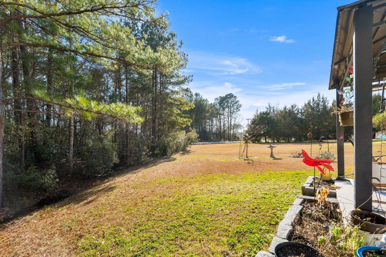 116 Balsa Dr. Photo 30