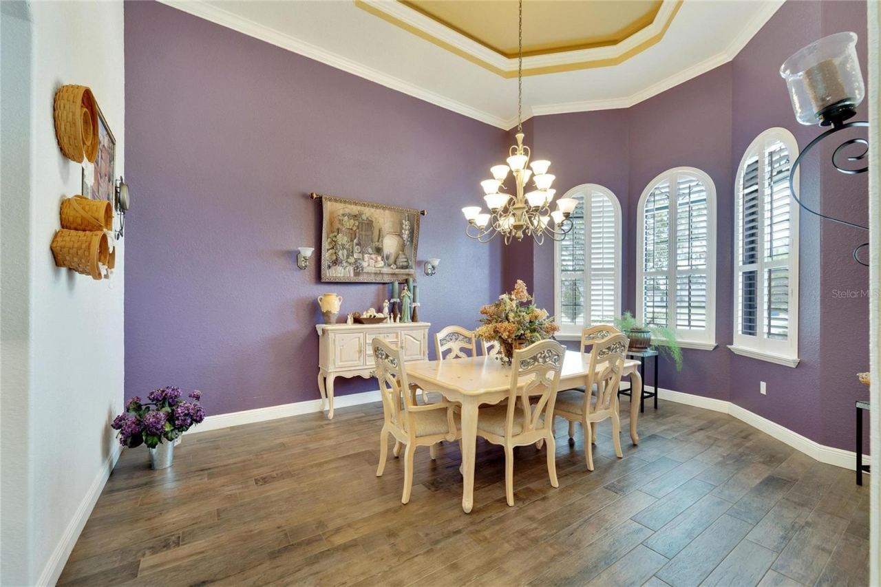 304 Hawk Talon Drive, Lithia, FL 33547 Photo