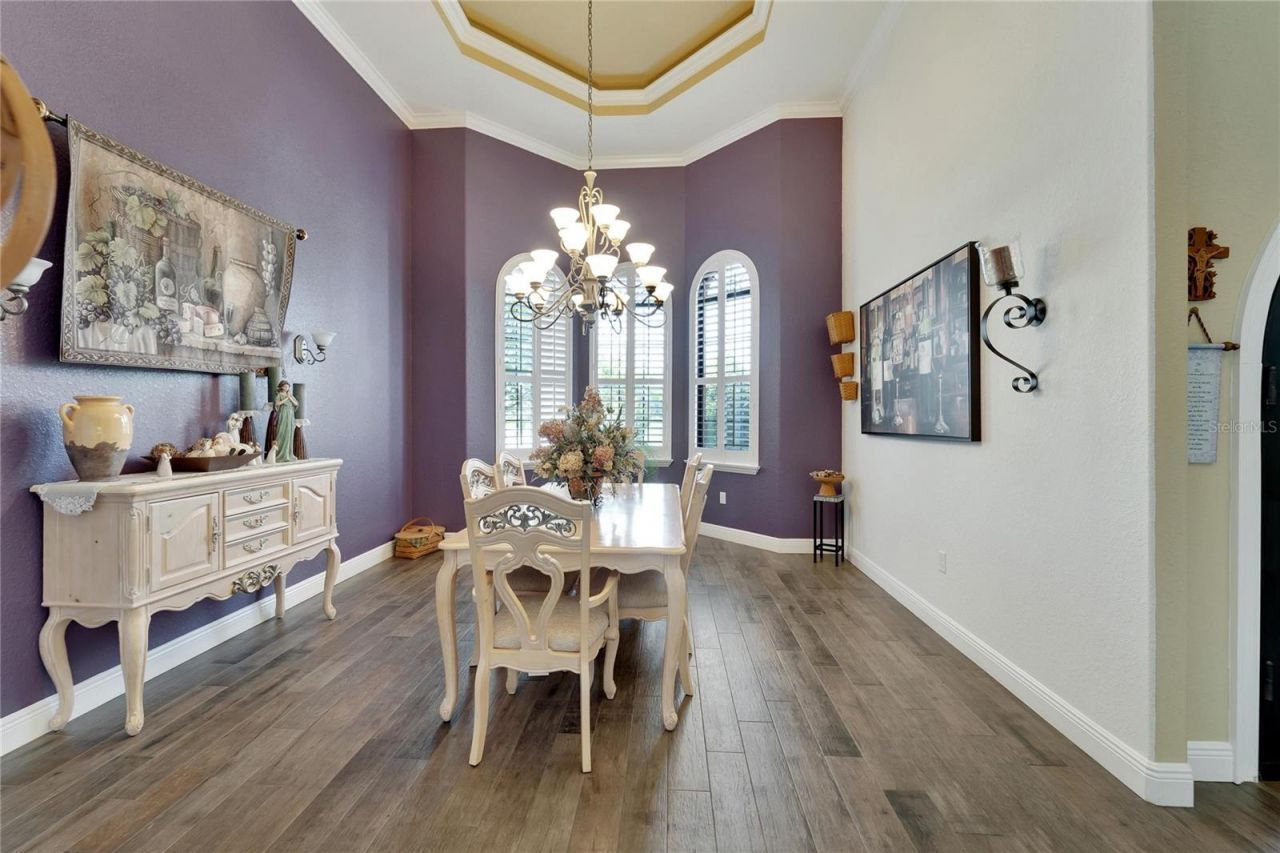 304 Hawk Talon Drive, Lithia, FL 33547 Photo