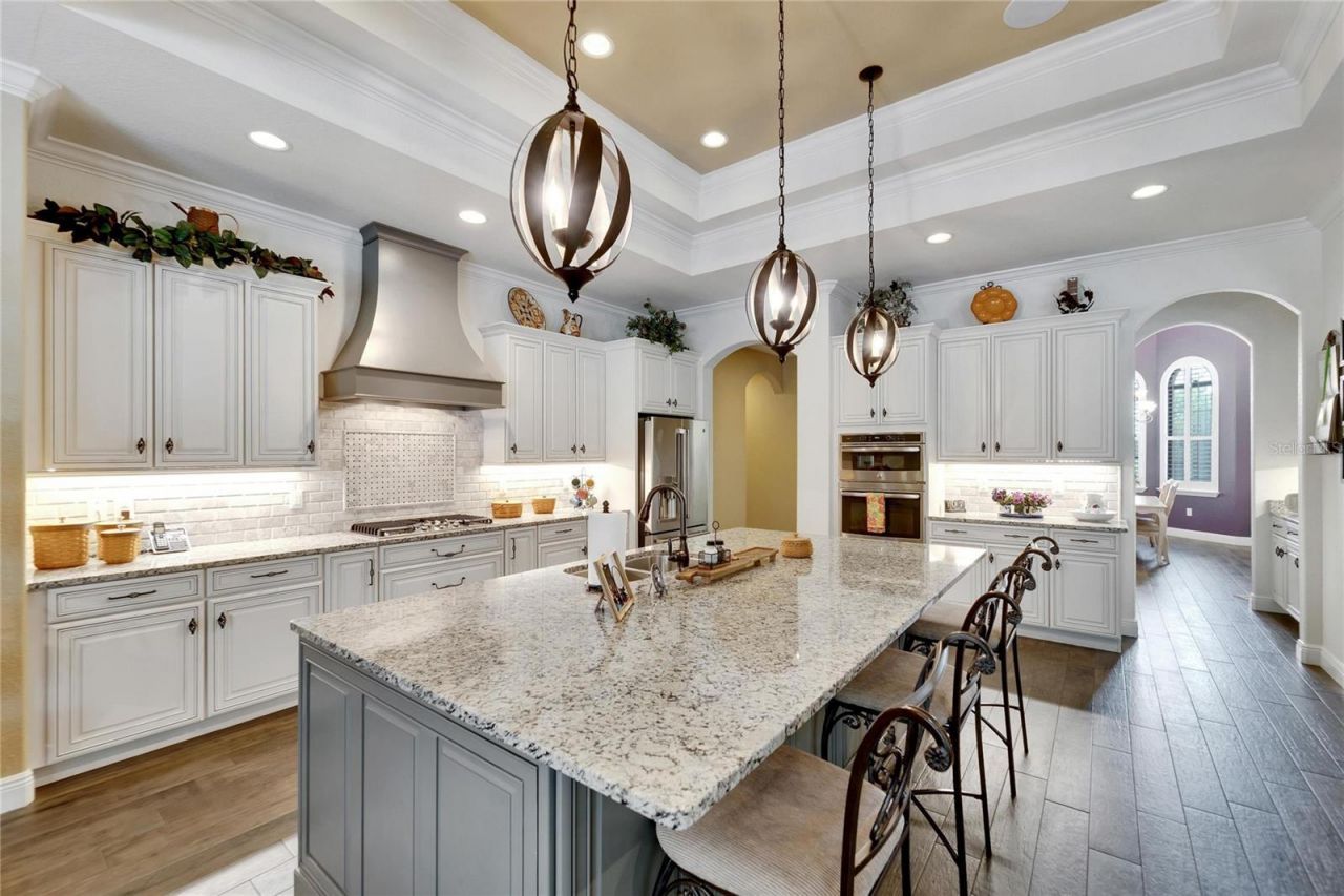 304 Hawk Talon Drive, Lithia, FL 33547 Photo