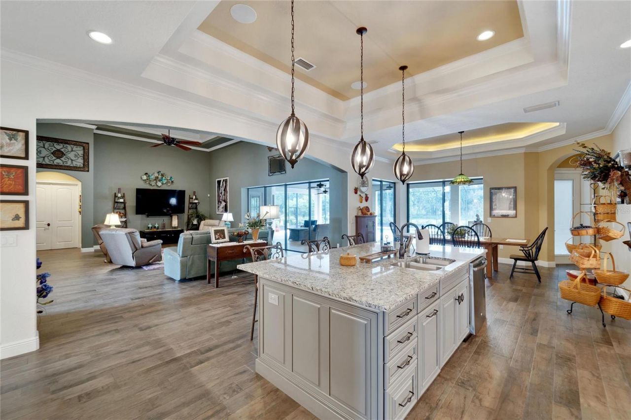 304 Hawk Talon Drive, Lithia, FL 33547 Photo