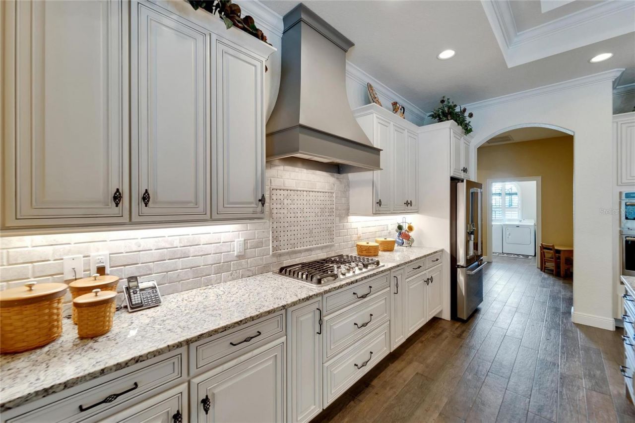 304 Hawk Talon Drive, Lithia, FL 33547 Photo