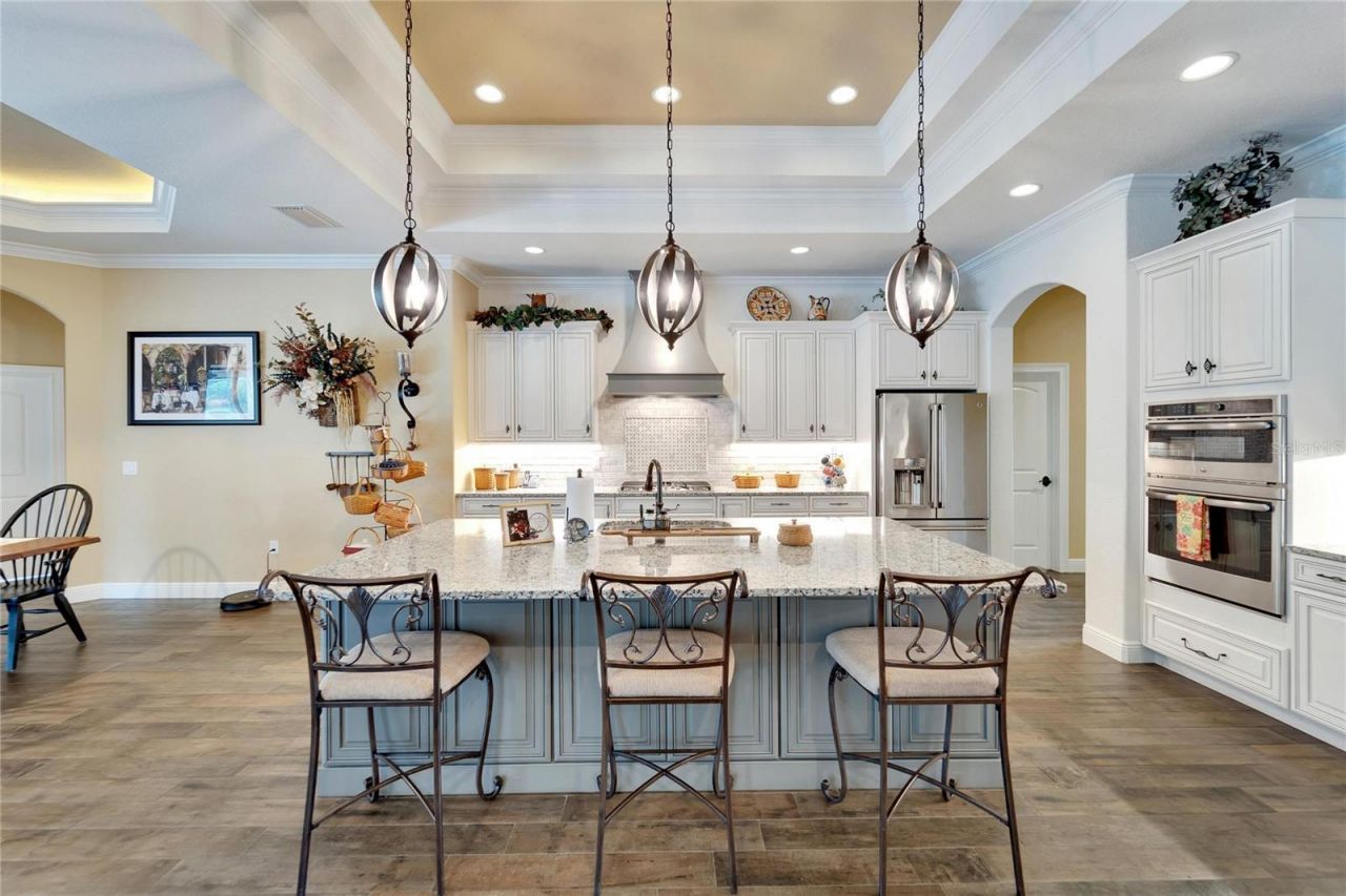 304 Hawk Talon Drive, Lithia, FL 33547 Photo