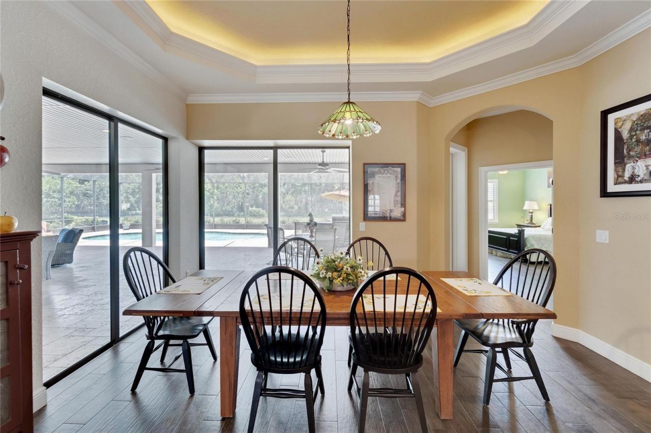 304 Hawk Talon Drive, Lithia, FL 33547 Photo