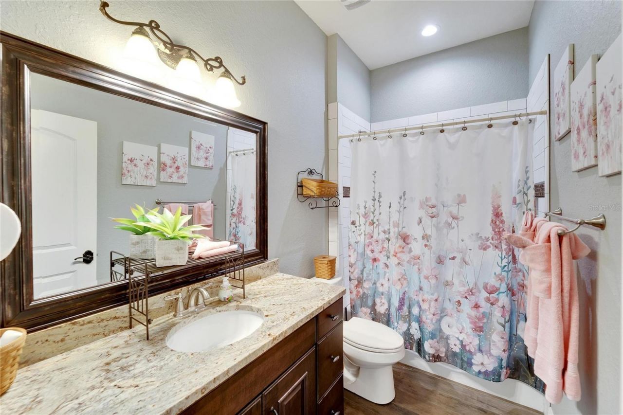 304 Hawk Talon Drive, Lithia, FL 33547 Photo