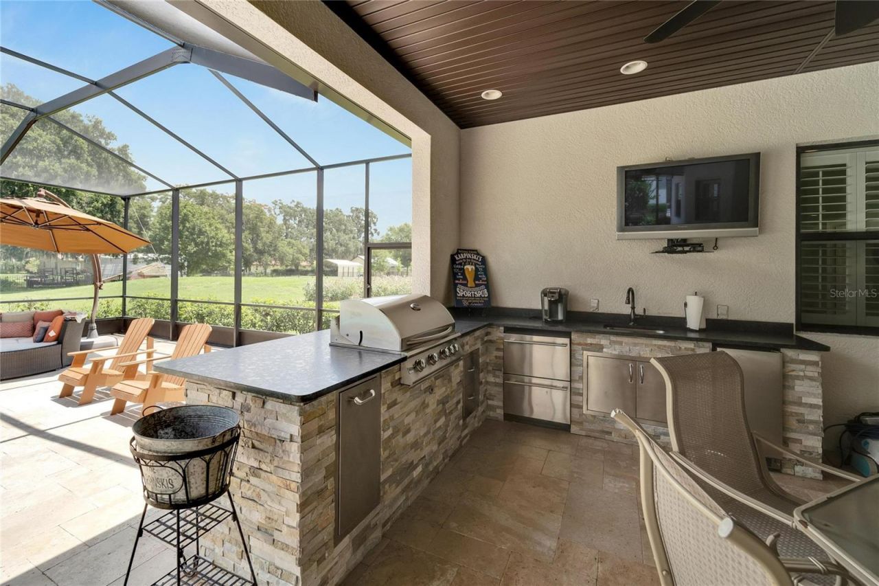 304 Hawk Talon Drive, Lithia, FL 33547 Photo