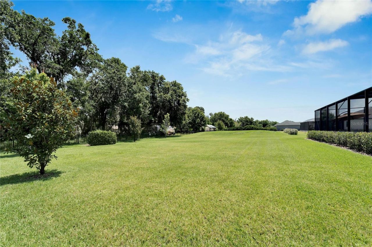 304 Hawk Talon Drive, Lithia, FL 33547 Photo