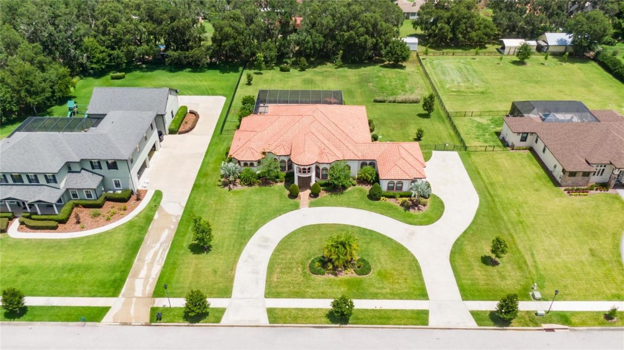 304 Hawk Talon Drive, Lithia, FL 33547 Photo