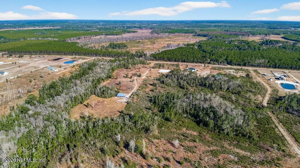 17692 County Road 121, Bryceville, FL 32009 Photo