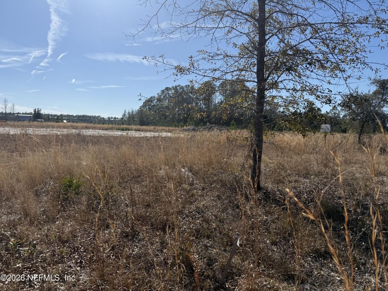 17692 County Road 121, Bryceville, FL 32009 Photo
