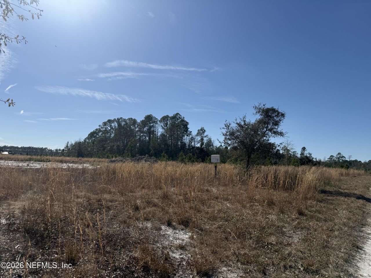17692 County Road 121, Bryceville, FL 32009 Photo