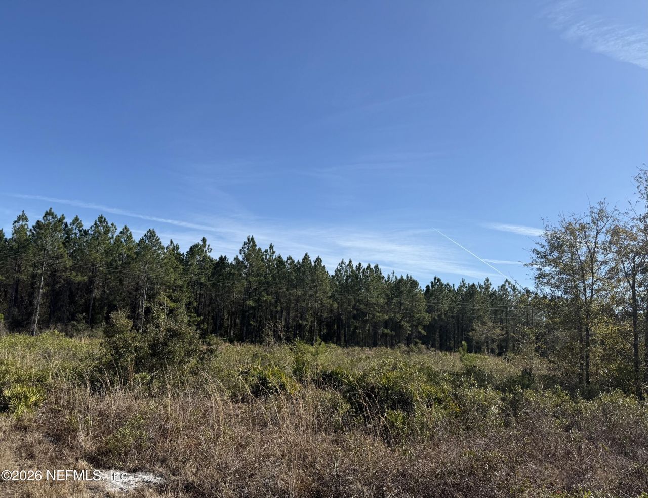 17692 County Road 121, Bryceville, FL 32009 Photo