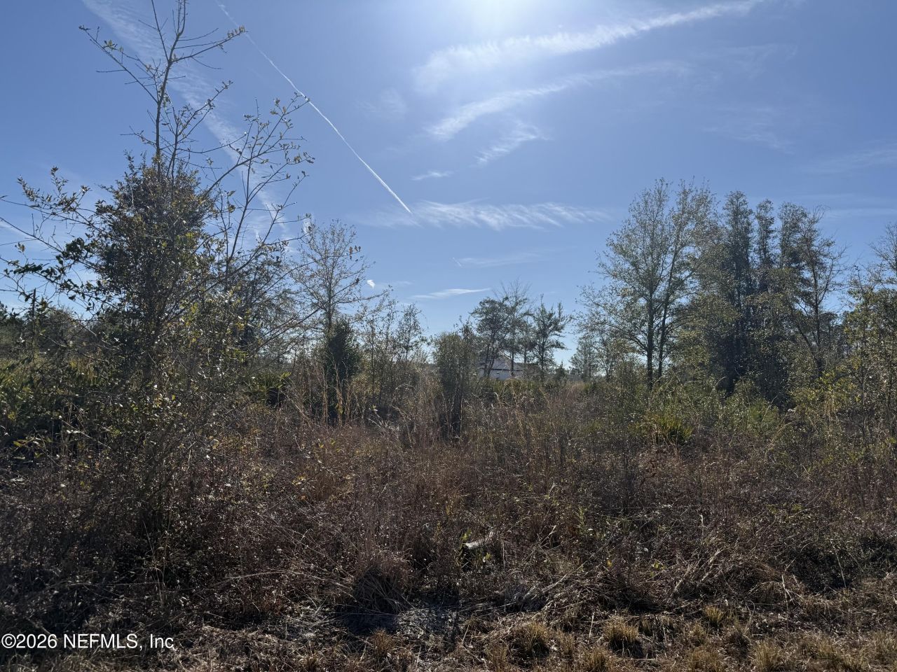 17692 County Road 121, Bryceville, FL 32009 Photo