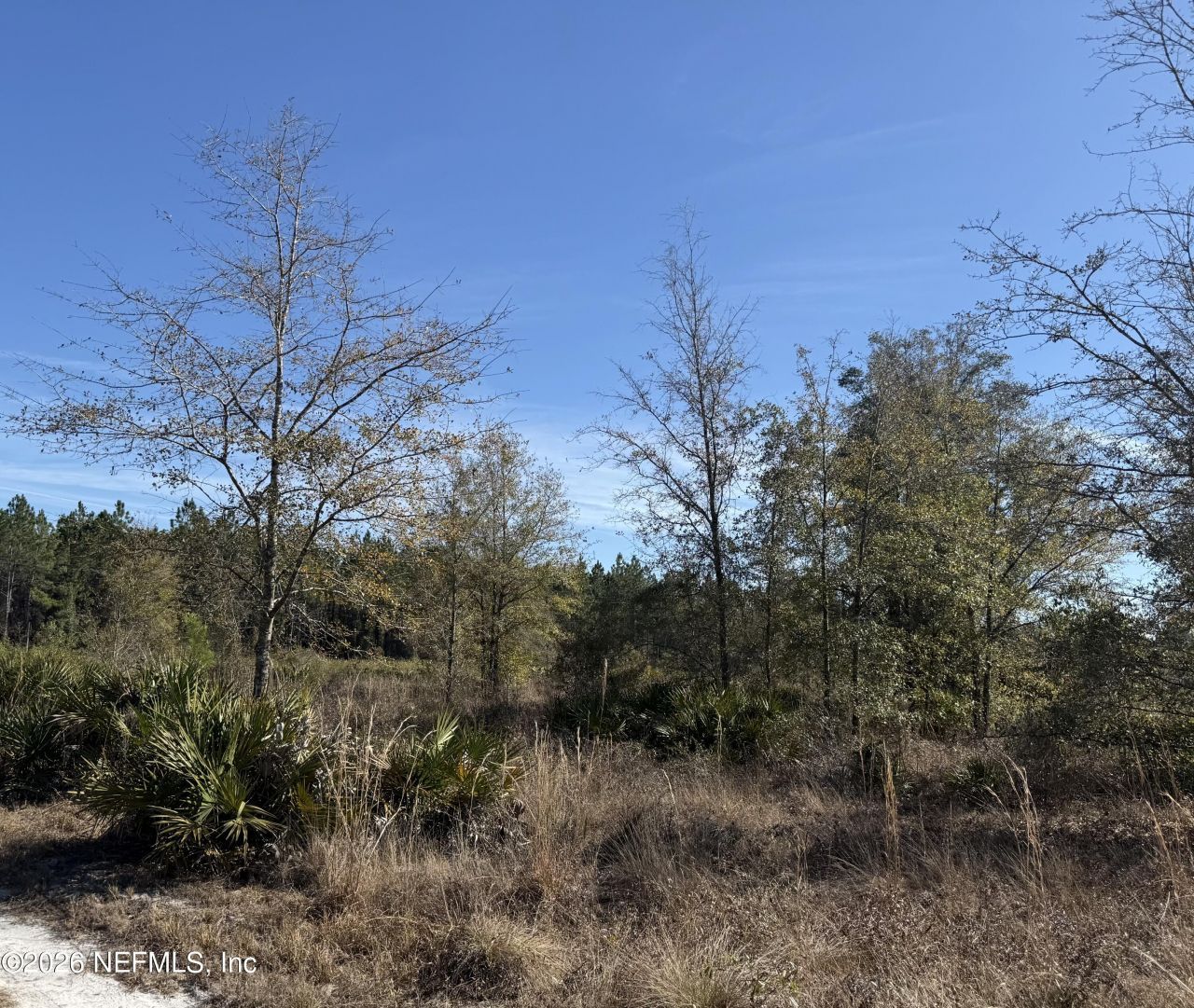 17692 County Road 121, Bryceville, FL 32009 Photo