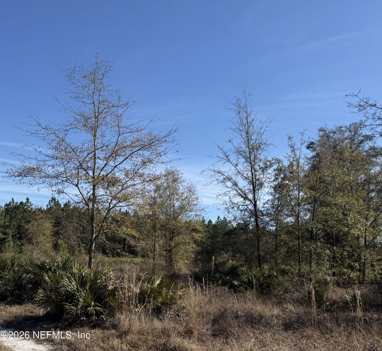 17692 County Road 121, Bryceville, FL 32009 Photo