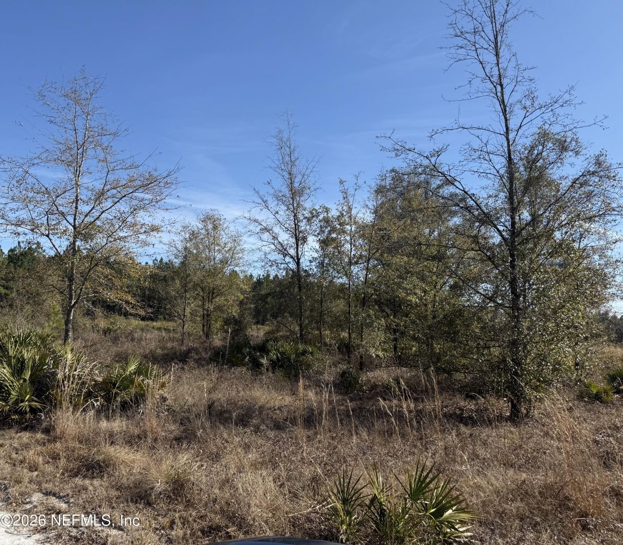 17692 County Road 121, Bryceville, FL 32009 Photo