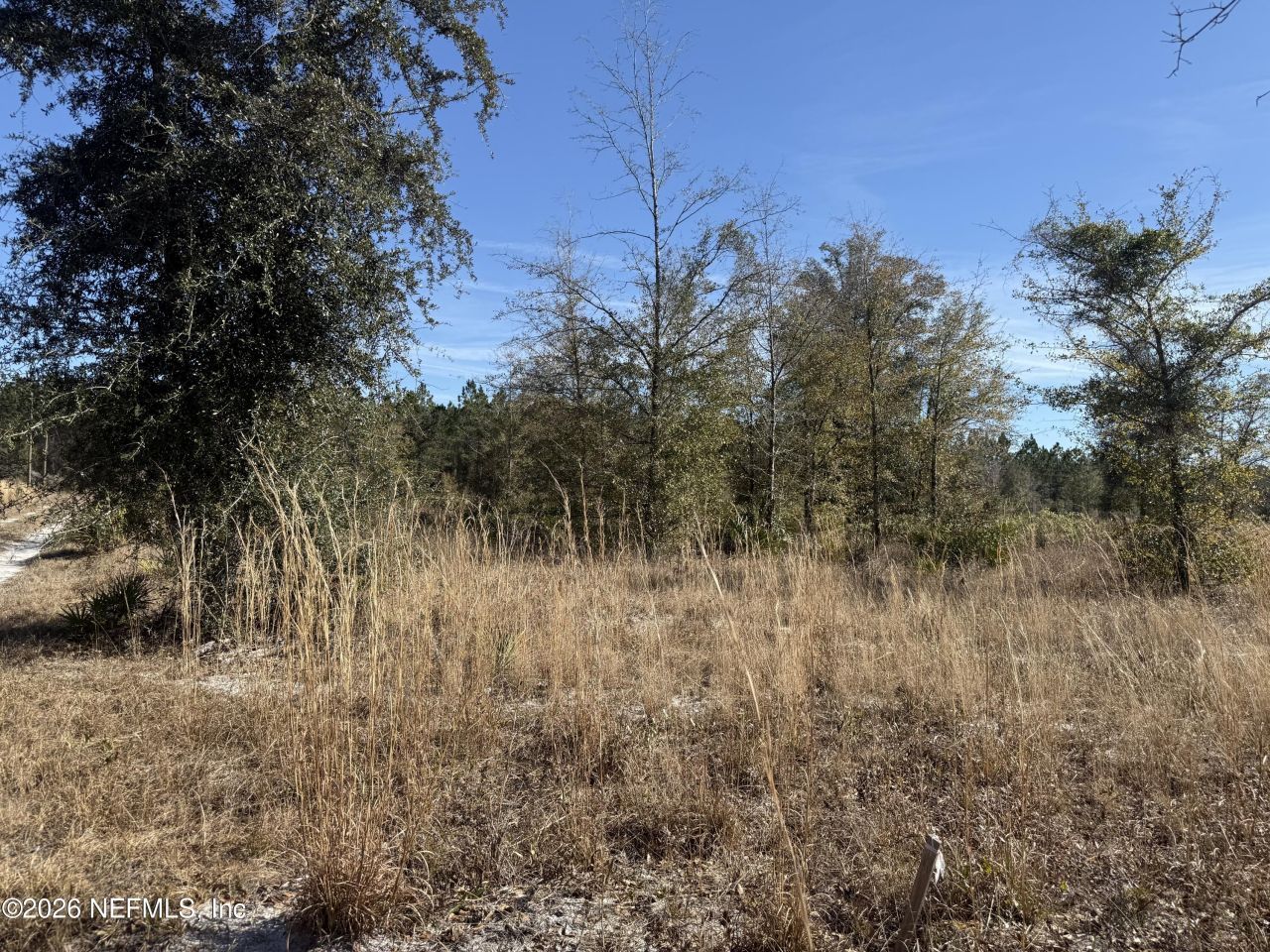 17692 County Road 121, Bryceville, FL 32009 Photo