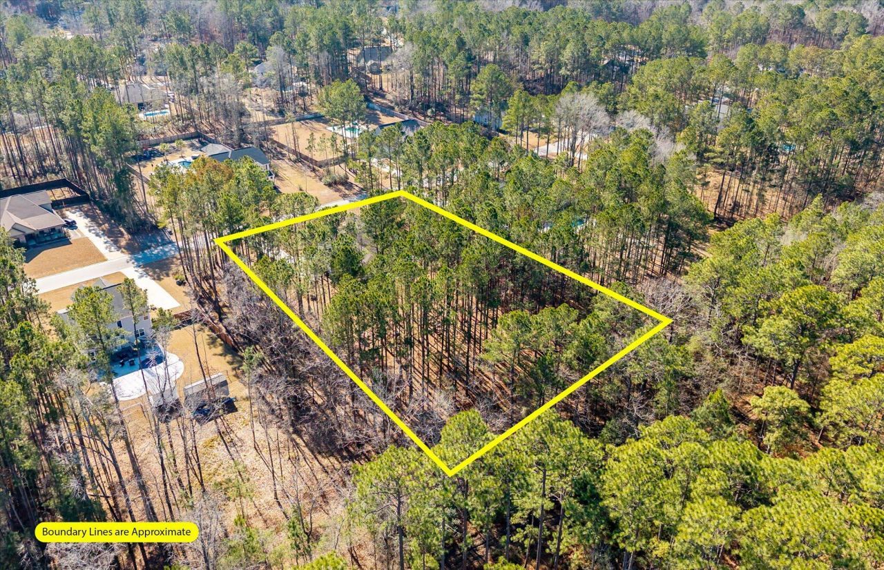 1119 Etowah Drive Photo 42