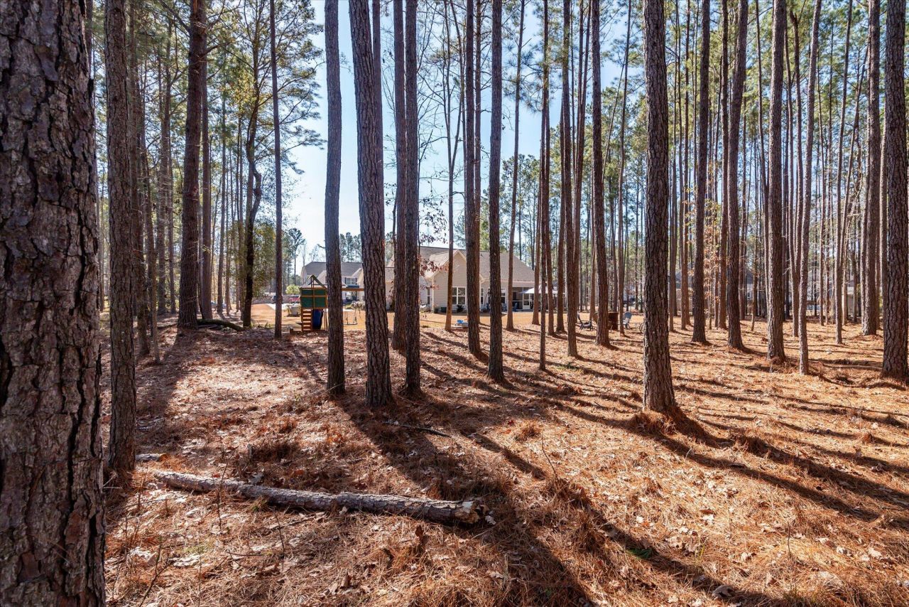 1119 Etowah Drive Photo 46